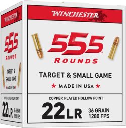 WINCHESTER 22LR 36GR PLATED HP - 1280FPS 555RD 10BX/CS