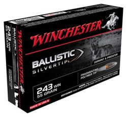 WINCHESTER SUPREME 243 WIN - 55GR SILVER-TIP 20RD 10BX/CS
