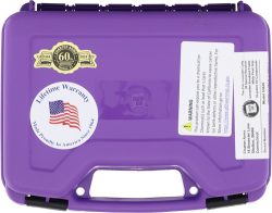 CHARTER ARMS CHIC LADY 38SPL - 2" LAVENDER/HIGH POLISH W/CAS