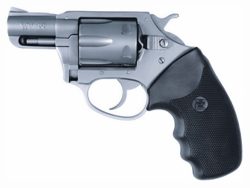 CHARTER ARMS PATHFINDER 22WMR - 2" S/S