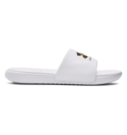 UA Ansa Graphic Logo Slides
