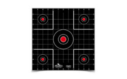 B/C DIRTY BIRD SIGHT IN TGT 12-12"